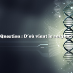 Question : D’où vient le sorgho ?
